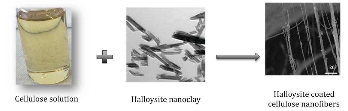 Electrospun cellulose-clay nanofibers