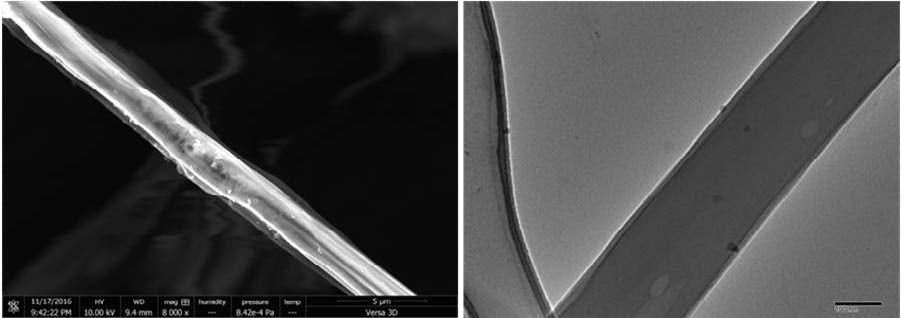 SEM (left) and TEM (right) images of the cellulose-sulfue/carbon coaxial fibers battery