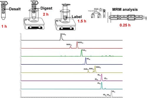 Dr. Linhardt’s laboratory developed a rapid and sensitive method by liquid chromatography−tandem mass spectrometry to efficiently determine low concentrations of glycosaminoglycans in human urine