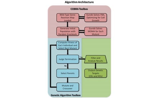 Algorithm Architecture