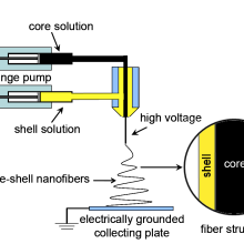 NanoBiotechnology and Nano-scale and Micron-scale Devices