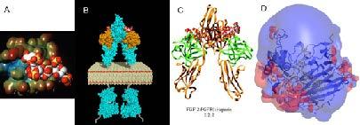 X-ray co-crystal structures