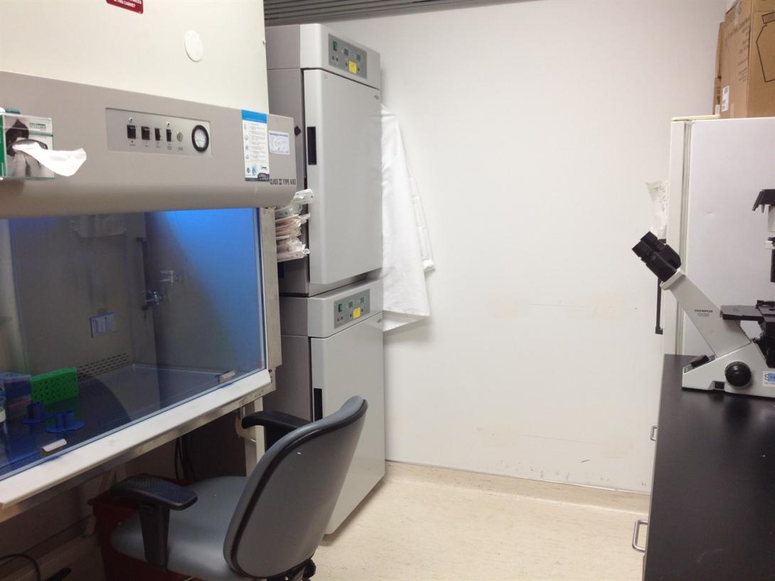 Cell and Tissue Culture Lab