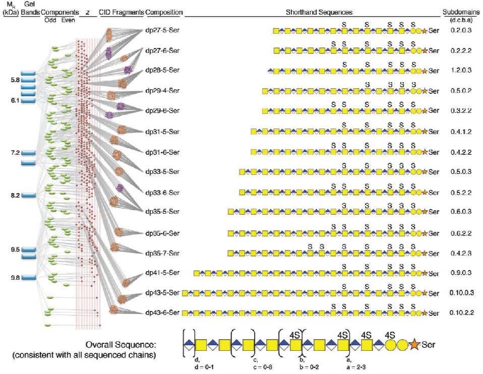 Bikunin sequencing flow chart 