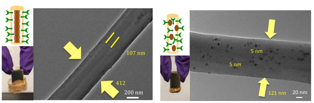 Left- Magnetite-Cellulose core-shell fibers with covalently bound heparin on the surface. Right-CelluloseMagnetite-Heparin mixed fibers. 